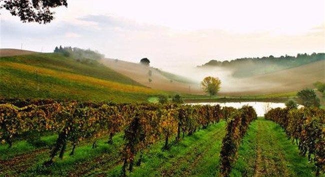 意大利葡萄酒產區(qū)